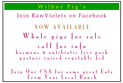 Wilber Pig’s
Join RawViolets on Facebook
NOW AVAILABLE
Whole pigs for sale
call for info
hormone & antibiotic free pork pasture raised vegetable fed


Join Our CSA for some great Eats
From Your Local Ranch